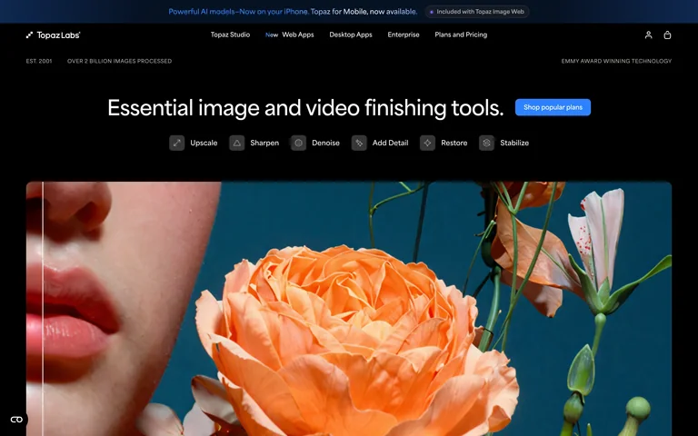 Topaz Labs preview